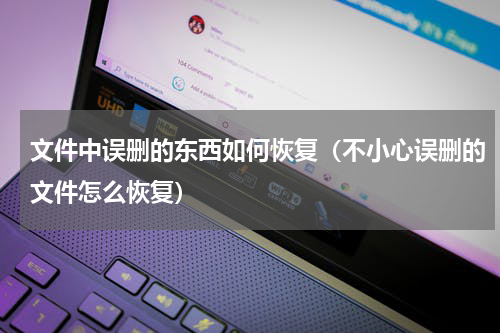 文件中误删的东西如何恢复（不小心误删的文件怎么恢复）