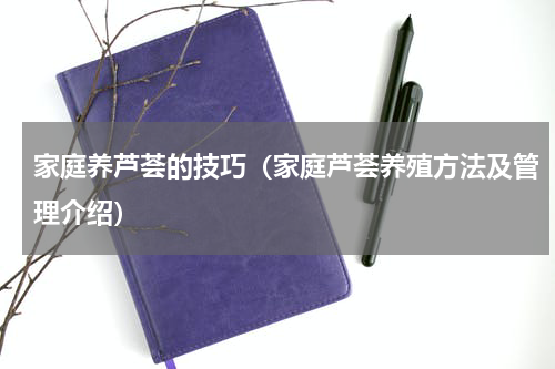 家庭养芦荟的技巧（家庭芦荟养殖方法及管理介绍）