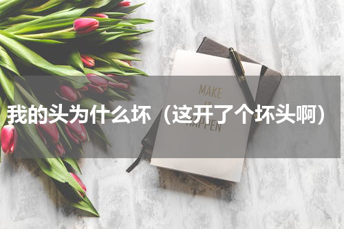 我的头为什么坏（这开了个坏头啊）