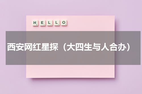 西安网红星探（大四生与人合办）