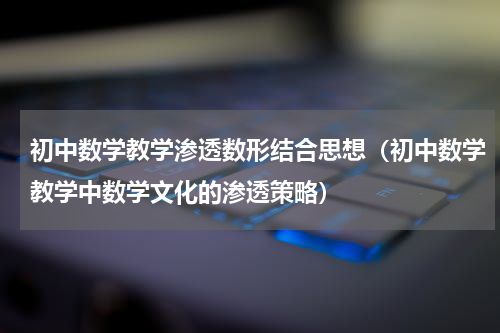 初中数学教学渗透数形结合思想（初中数学教学中数学文化的渗透策略）