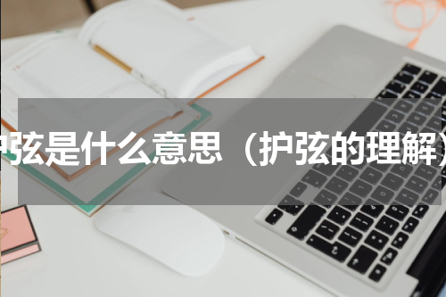护弦是什么意思（护弦的理解）
