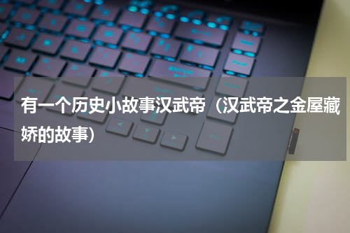 有一个历史小故事汉武帝（汉武帝之金屋藏娇的故事）