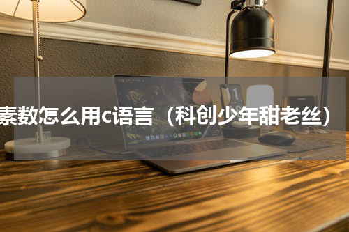 素数怎么用c语言（科创少年甜老丝）
