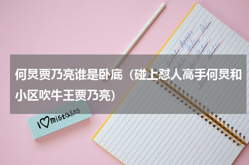 何炅贾乃亮谁是卧底（碰上怼人高手何炅和小区吹牛王贾乃亮）