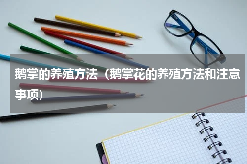 鹅掌的养殖方法（鹅掌花的养殖方法和注意事项）
