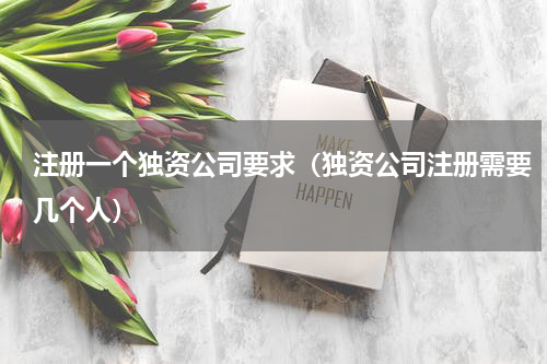 注册一个独资公司要求（独资公司注册需要几个人）