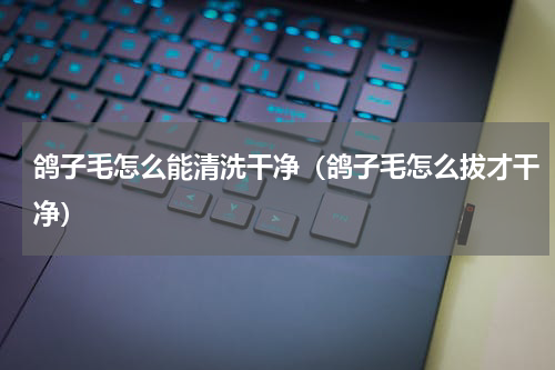 鸽子毛怎么能清洗干净（鸽子毛怎么拔才干净）