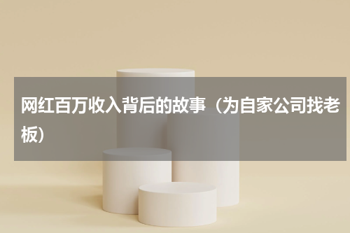 网红百万收入背后的故事（为自家公司找老板）