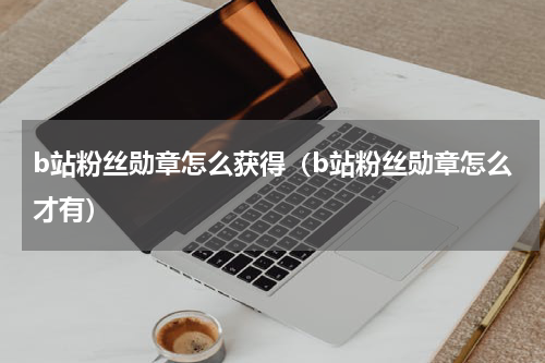b站粉丝勋章怎么获得（b站粉丝勋章怎么才有）
