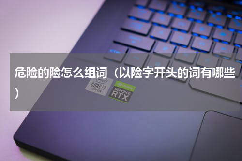 危险的险怎么组词（以险字开头的词有哪些）