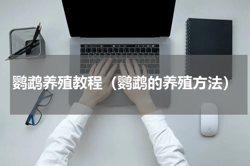 鹦鹉养殖教程（鹦鹉的养殖方法）