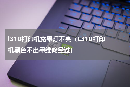 l310打印机充墨灯不亮（L310打印机黑色不出墨维修经过）