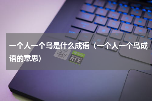 一个人一个鸟是什么成语（一个人一个鸟成语的意思）