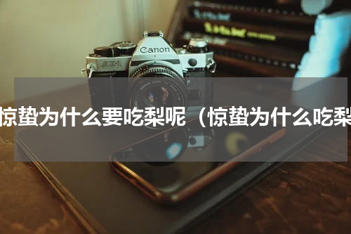 过惊蛰为什么要吃梨呢（惊蛰为什么吃梨）