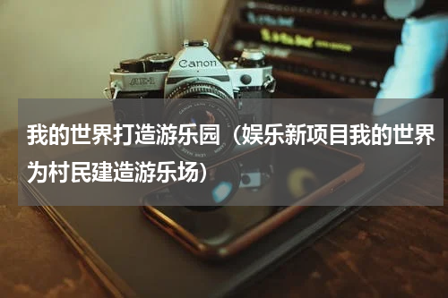 我的世界打造游乐园（娱乐新项目我的世界为村民建造游乐场）
