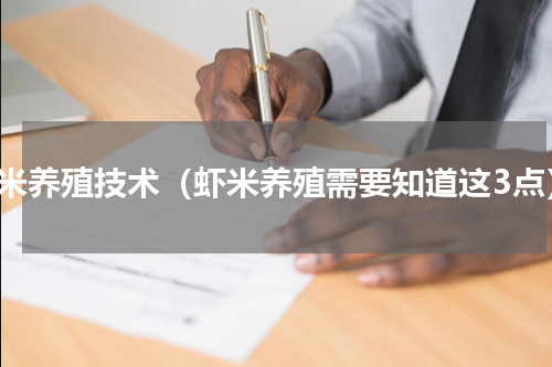 虾米养殖技术（虾米养殖需要知道这3点）