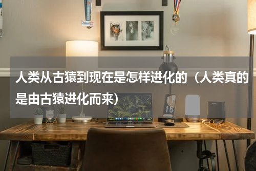 人类从古猿到现在是怎样进化的（人类真的是由古猿进化而来）