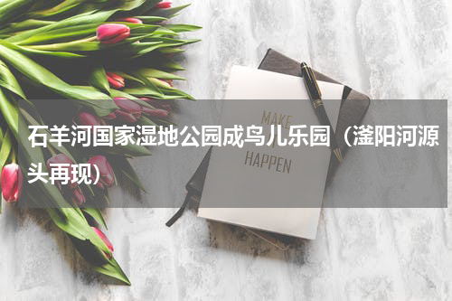 石羊河国家湿地公园成鸟儿乐园（滏阳河源头再现）