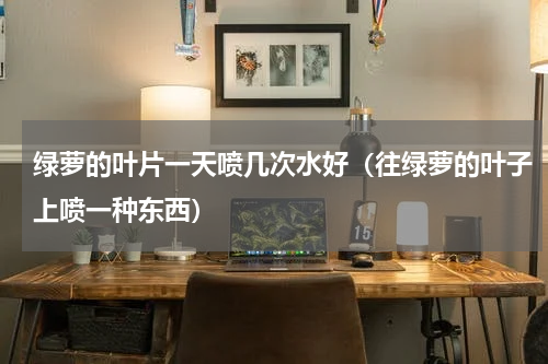 绿萝的叶片一天喷几次水好（往绿萝的叶子上喷一种东西）