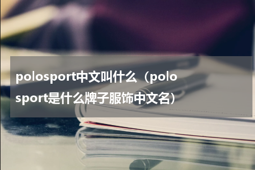 polosport中文叫什么（polosport是什么牌子服饰中文名）