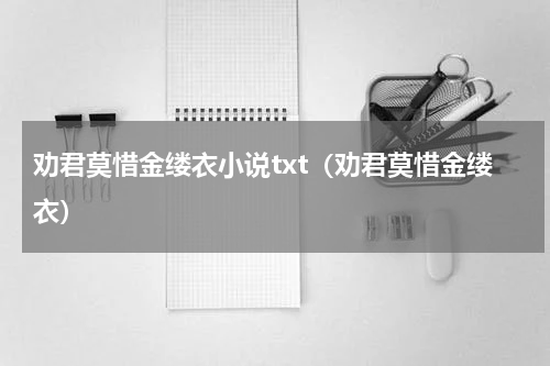 劝君莫惜金缕衣小说txt（劝君莫惜金缕衣）