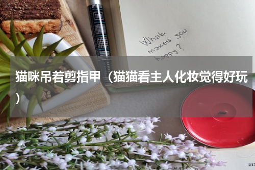 猫咪吊着剪指甲（猫猫看主人化妆觉得好玩）