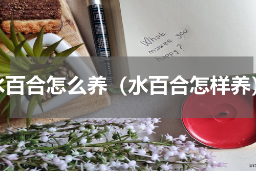 水百合怎么养（水百合怎样养）