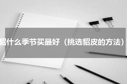 貂什么季节买最好（挑选貂皮的方法）