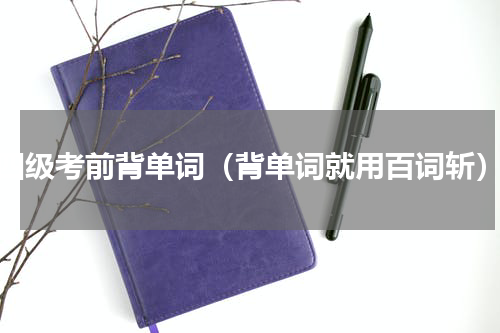四级考前背单词（背单词就用百词斩）