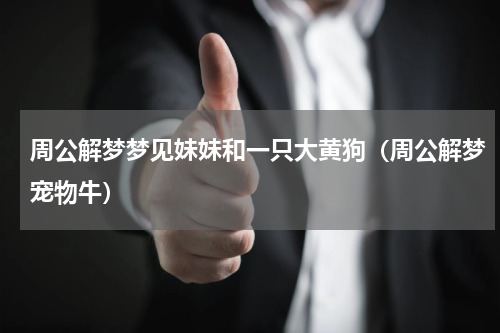 周公解梦梦见妹妹和一只大黄狗（周公解梦宠物牛）