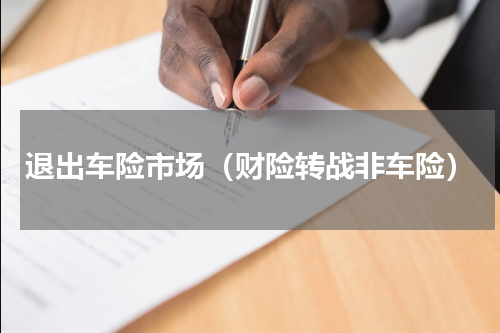 退出车险市场（财险转战非车险）