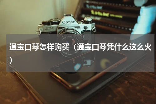 通宝口琴怎样购买（通宝口琴凭什么这么火）