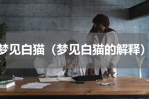 梦见白猫（梦见白猫的解释）