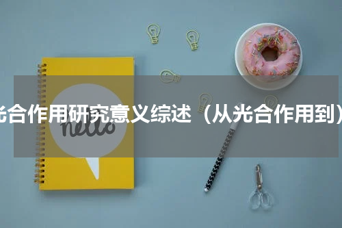 光合作用研究意义综述（从光合作用到）