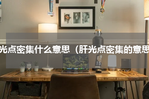 肝光点密集什么意思（肝光点密集的意思）
