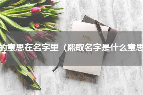 熙的意思在名字里（熙取名字是什么意思）
