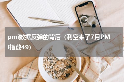 pmi数据反弹的背后（利空来了7月PMI指数49）