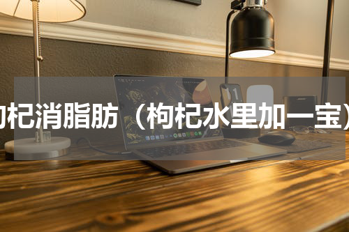 枸杞消脂肪（枸杞水里加一宝）