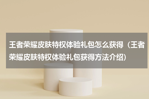 王者荣耀皮肤特权体验礼包怎么获得（王者荣耀皮肤特权体验礼包获得方法介绍）