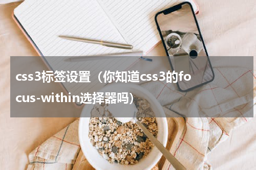 css3标签设置（你知道css3的focus-within选择器吗）