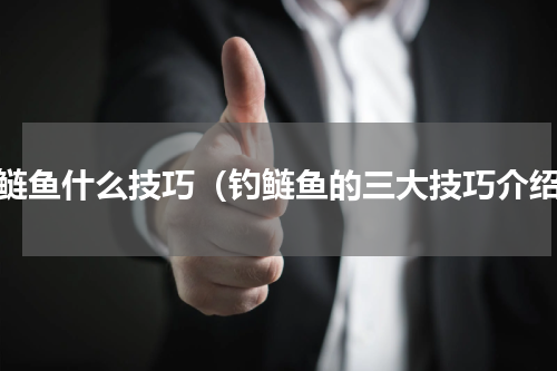 钓鲢鱼什么技巧（钓鲢鱼的三大技巧介绍）