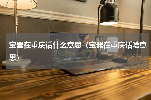 宝器在重庆话什么意思（宝器在重庆话啥意思）