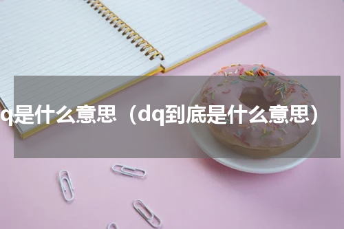 dq是什么意思（dq到底是什么意思）