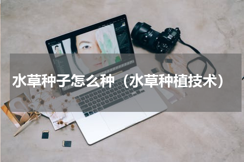 水草种子怎么种（水草种植技术）