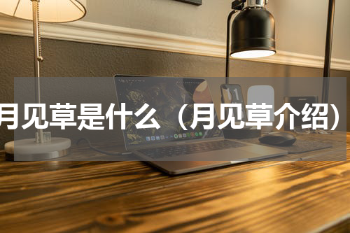 月见草是什么（月见草介绍）