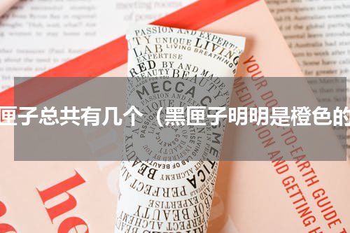 黑匣子总共有几个（黑匣子明明是橙色的）