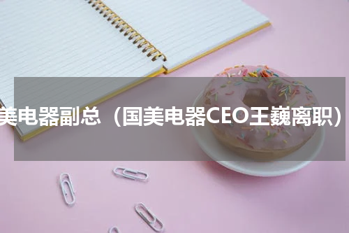 国美电器副总（国美电器CEO王巍离职）