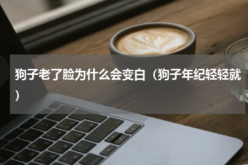 狗子老了脸为什么会变白（狗子年纪轻轻就）