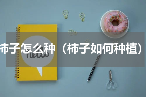 柿子怎么种（柿子如何种植）